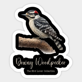 Downy Woodpecker - The Bird Lover Collection Sticker